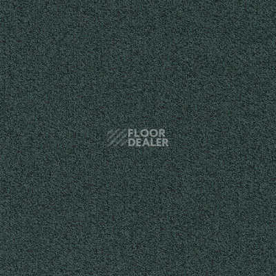 Ковровая плитка Modulyss Millennium Nxtgen Millennium Nxtgen 511 фото 1 | FLOORDEALER